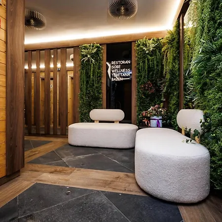 Sedlo - Golija فندق