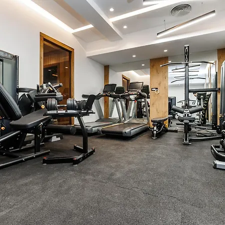 Sedlo - Golija 4* Raška